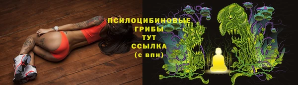 PSILOCYBIN Бугульма