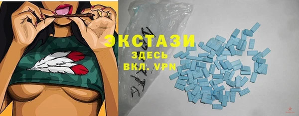 дмт Бородино