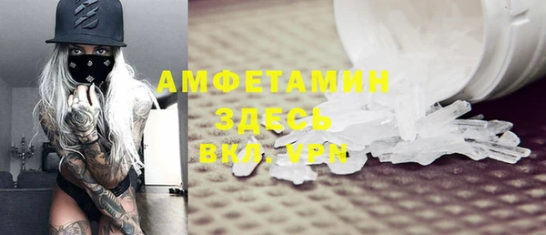 дмт Бородино
