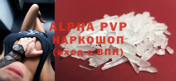 дмт Бородино