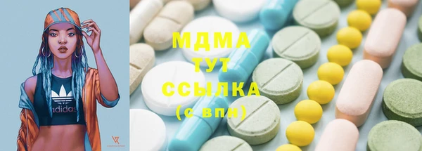 дмт Бородино