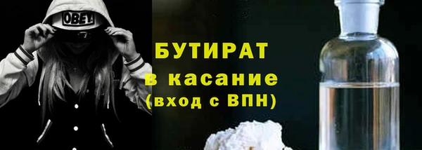 дмт Бородино