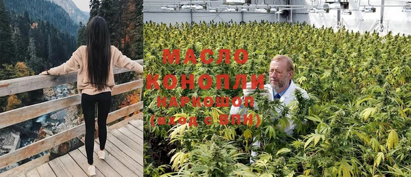 PSILOCYBIN Бугульма