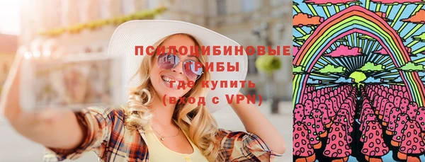 дмт Бородино