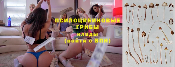 СК Верея